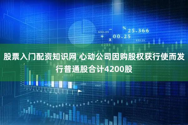 股票入门配资知识网 心动公司因购股权获行使而发行普通股合计4200股
