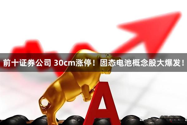 前十证券公司 30cm涨停！固态电池概念股大爆发！