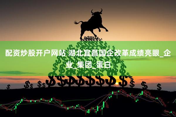 配资炒股开户网站 湖北宜昌国企改革成绩亮眼_企业_集团_蛋白