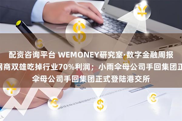 配资咨询平台 WEMONEY研究室·数字金融周报|2024年微众网商双雄吃掉行业70%利润；小雨伞母公司手回集团正式登陆港交所