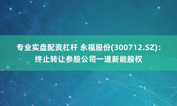专业实盘配资杠杆 永福股份(300712.SZ)：终止转让参股公司一道新能股权