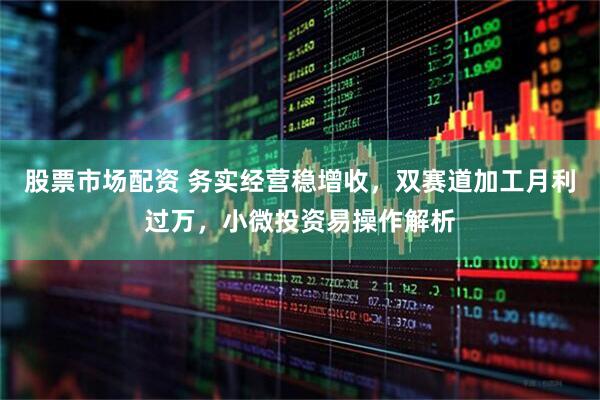 股票市场配资 务实经营稳增收，双赛道加工月利过万，小微投资易操作解析