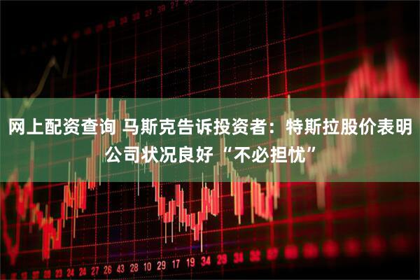 网上配资查询 马斯克告诉投资者：特斯拉股价表明公司状况良好 “不必担忧”