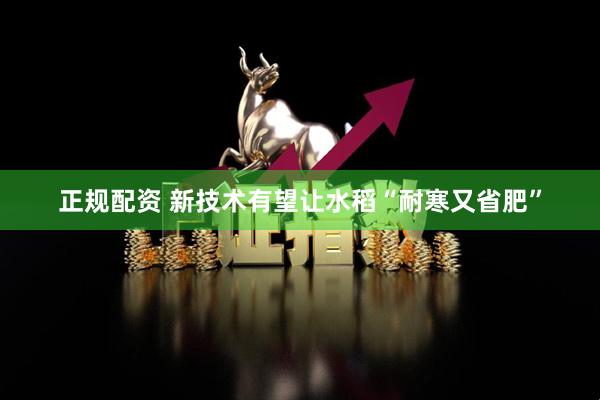 正规配资 新技术有望让水稻“耐寒又省肥”