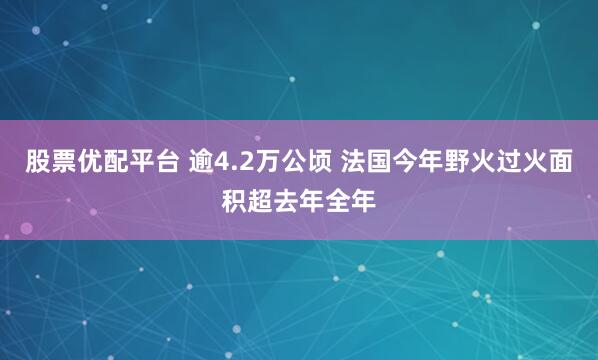 股票优配平台 逾4.2万公顷 法国今年野火过火面积超去年全年